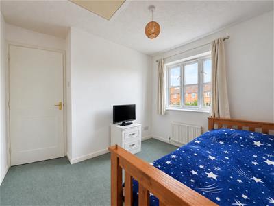 Picture 11